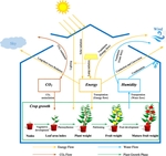 A novel integrated framework to evaluate greenhouse energy demand and crop yield production